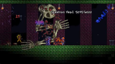 armor in terraria pc.